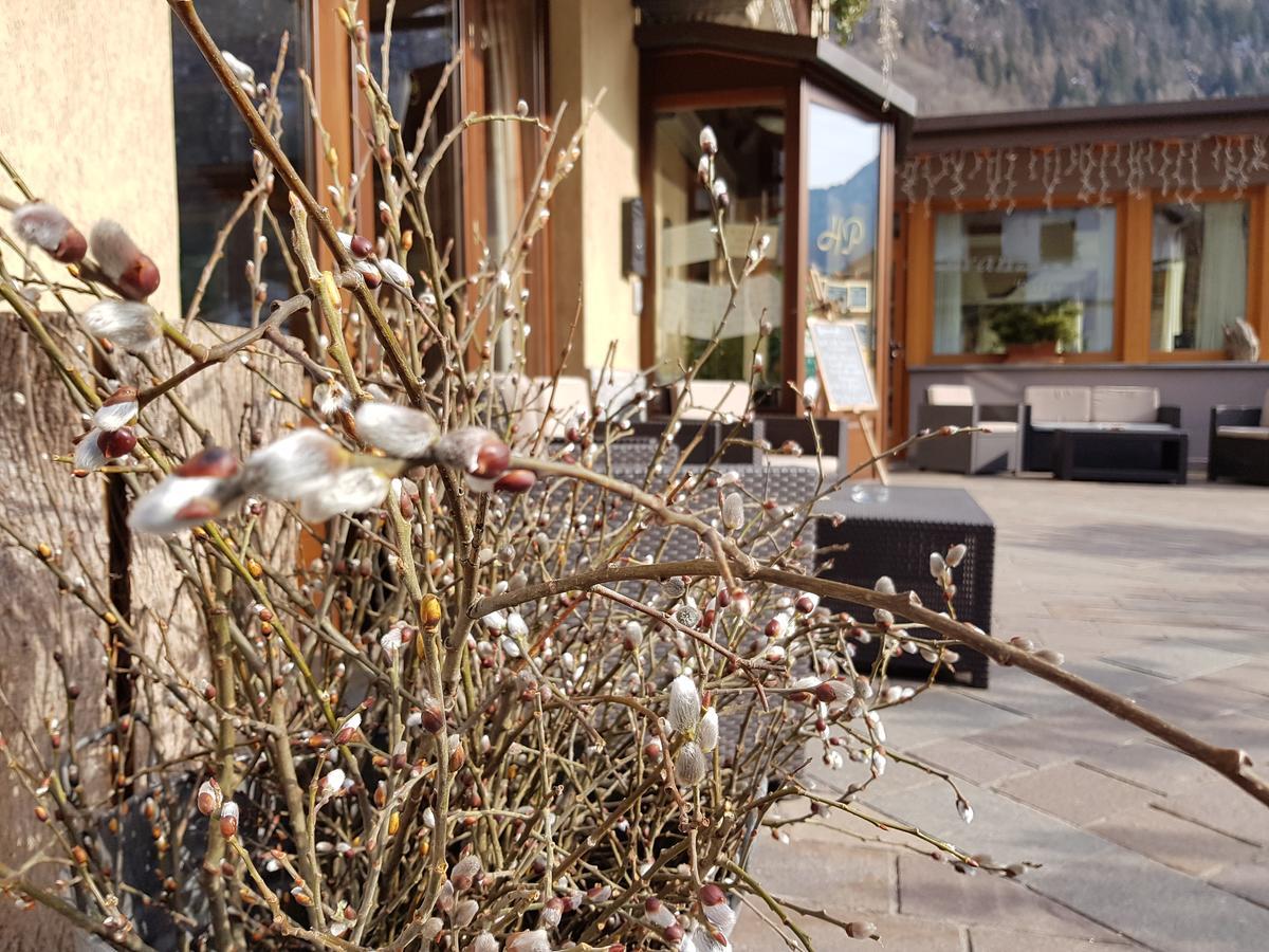 Hotel Pedretti Branzi Eksteriør billede